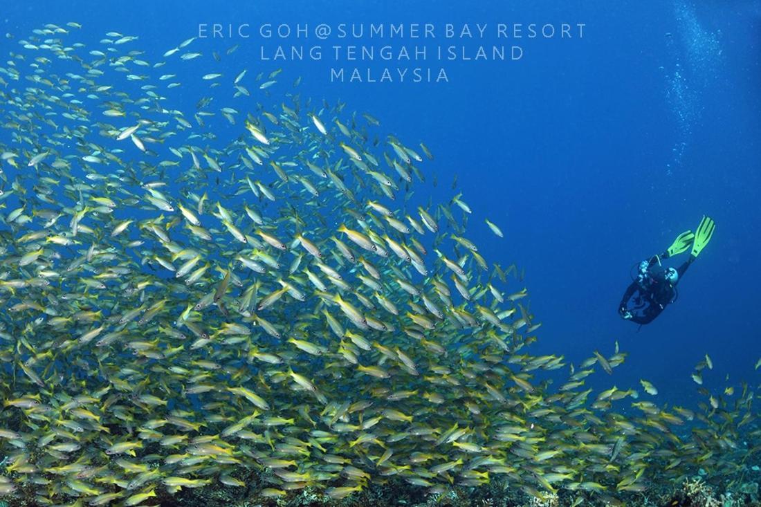 Summer Bay Resort, Lang Tengah Екстериор снимка